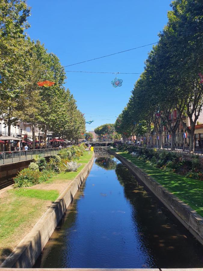 Superbe Batisse De Caractere, Coeur De Ville Perpignan Eksteriør bilde
