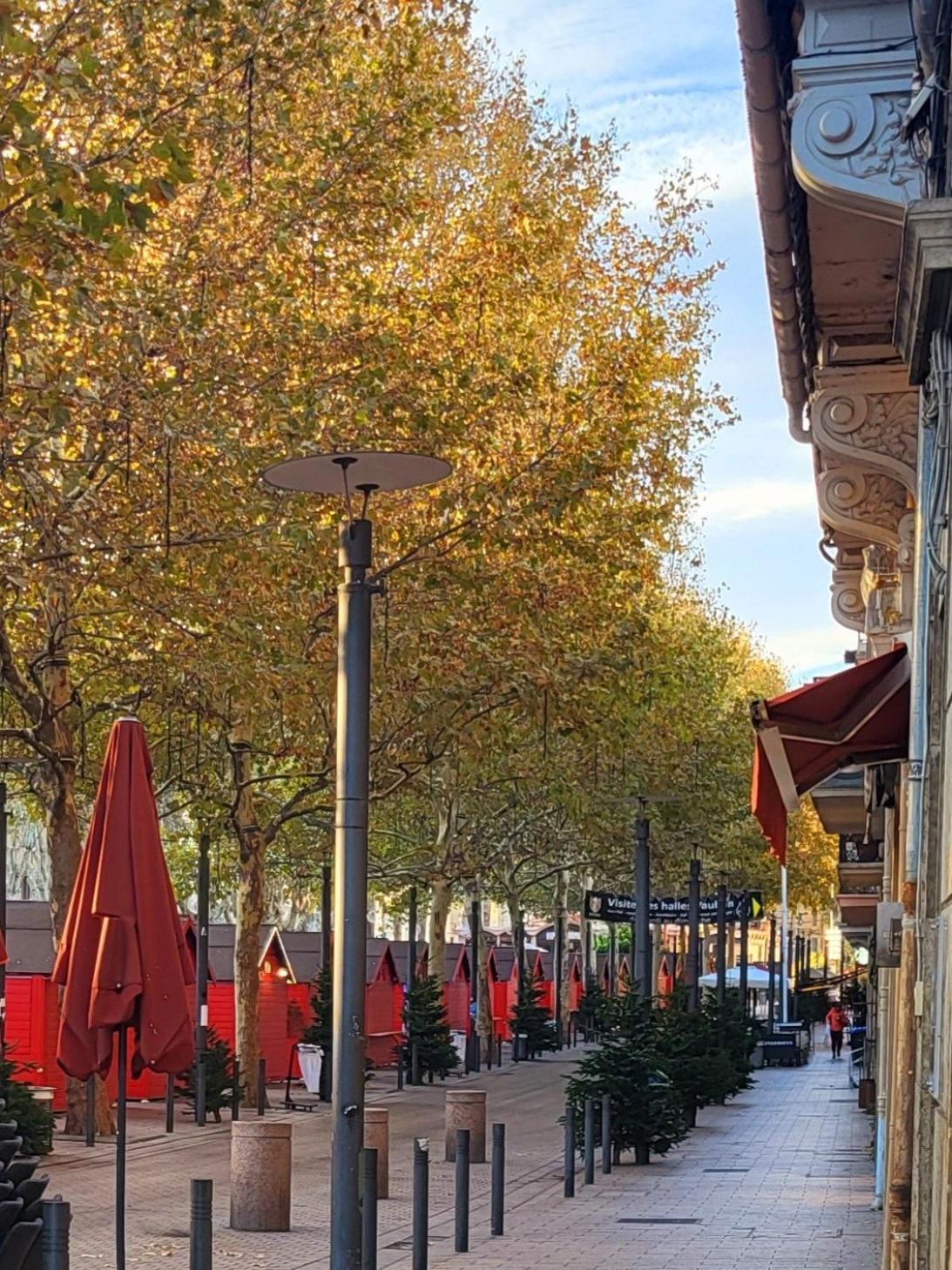 Superbe Batisse De Caractere, Coeur De Ville Perpignan Eksteriør bilde